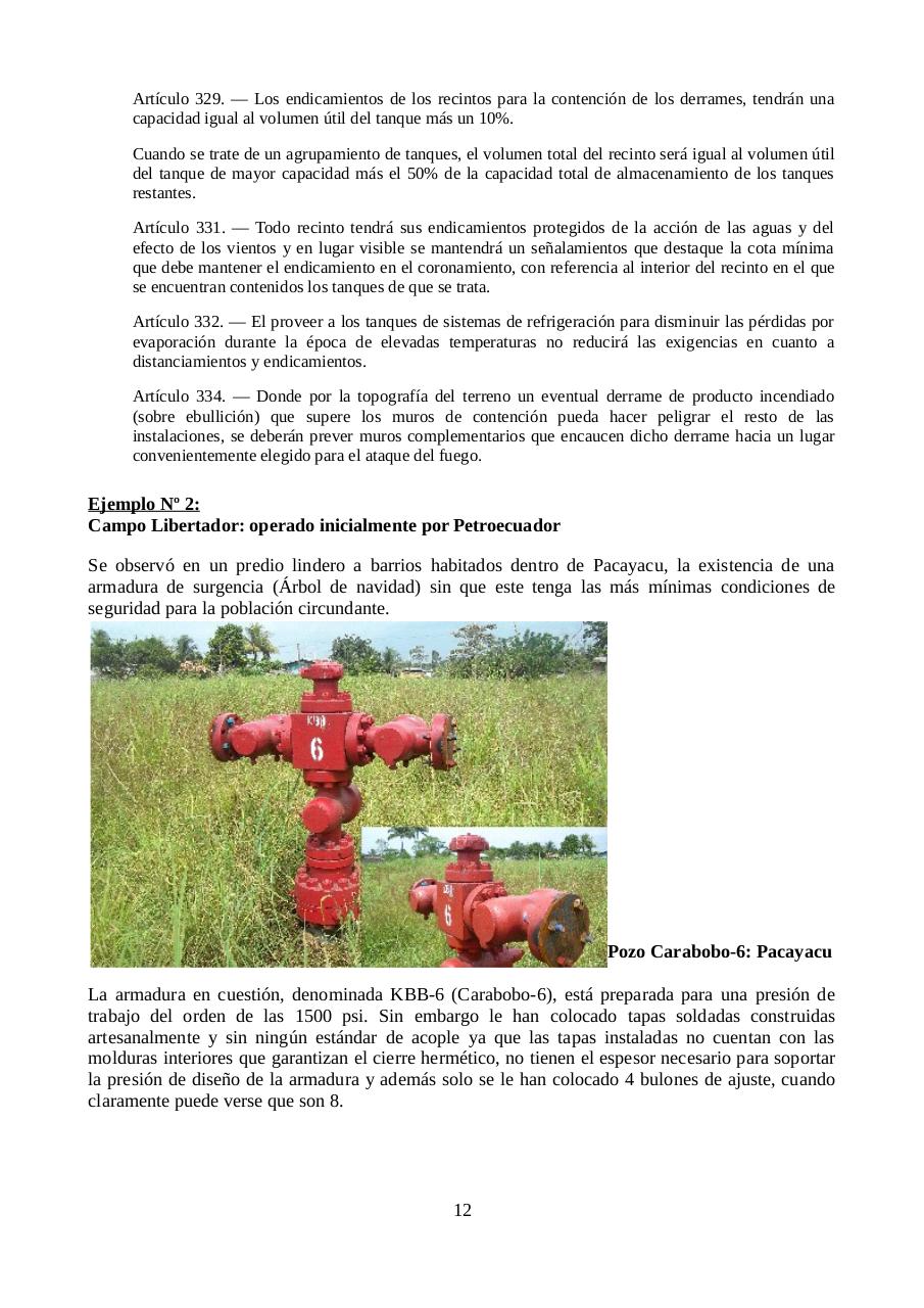 Vista previa del archivo PDF informe-petroamazonas.pdf