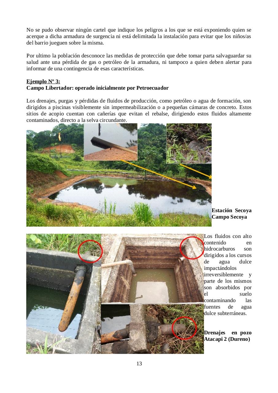 Vista previa del archivo PDF informe-petroamazonas.pdf
