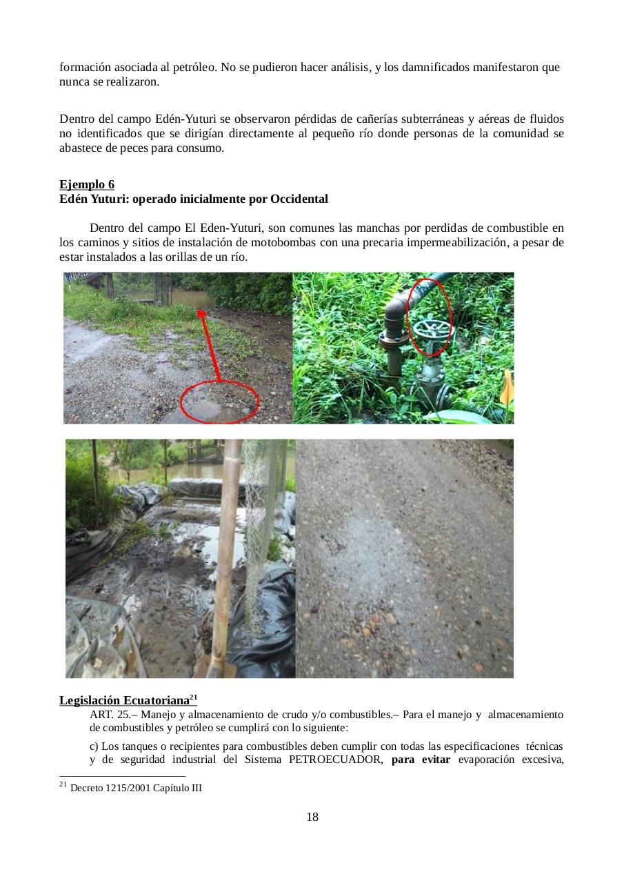 Vista previa del archivo PDF informe-petroamazonas.pdf