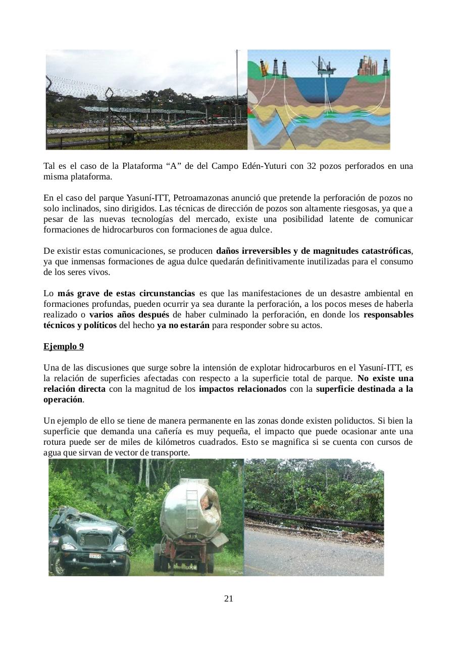 Vista previa del archivo PDF informe-petroamazonas.pdf