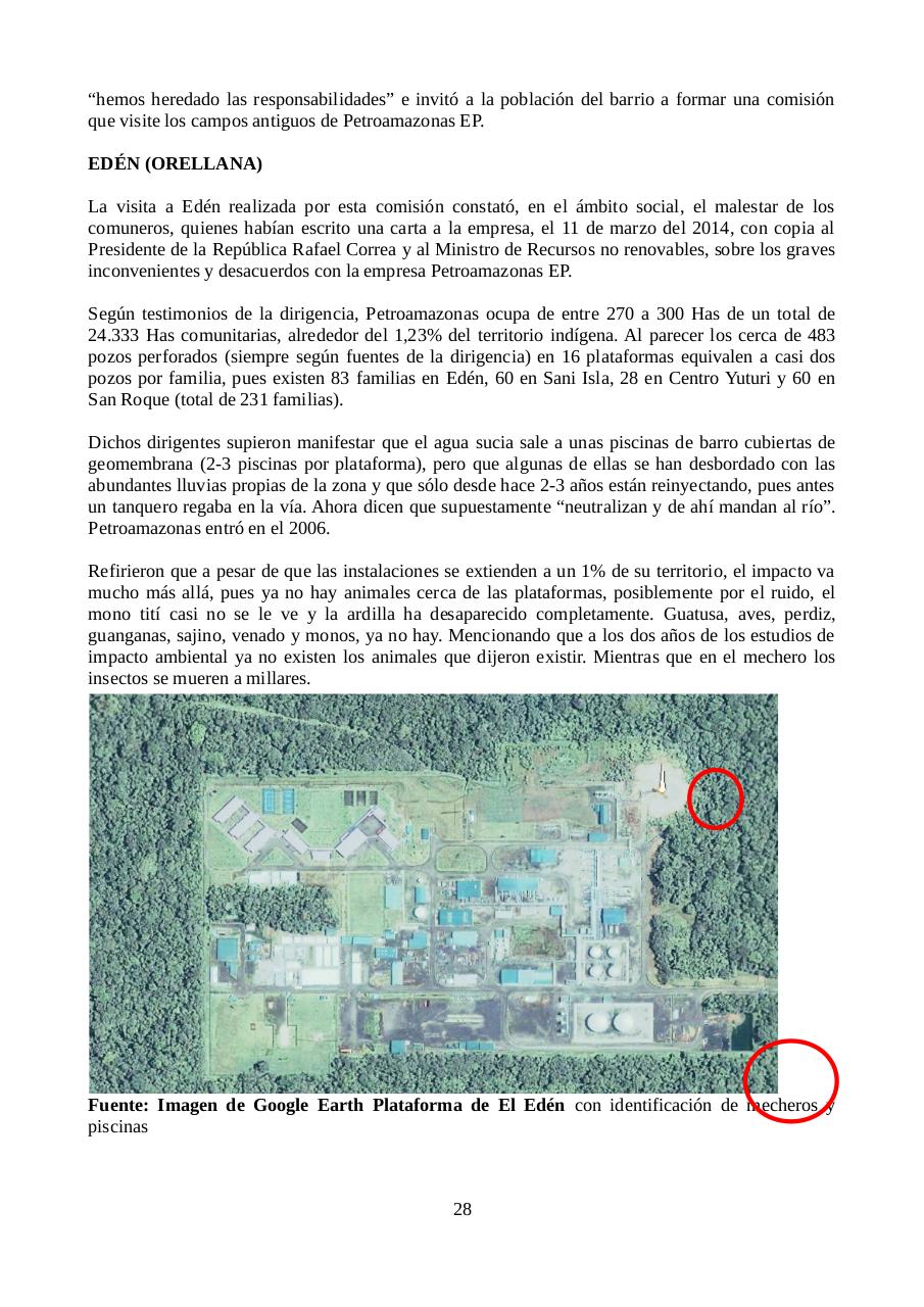 Vista previa del archivo PDF informe-petroamazonas.pdf