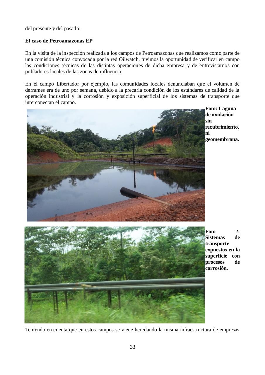 Vista previa del archivo PDF informe-petroamazonas.pdf
