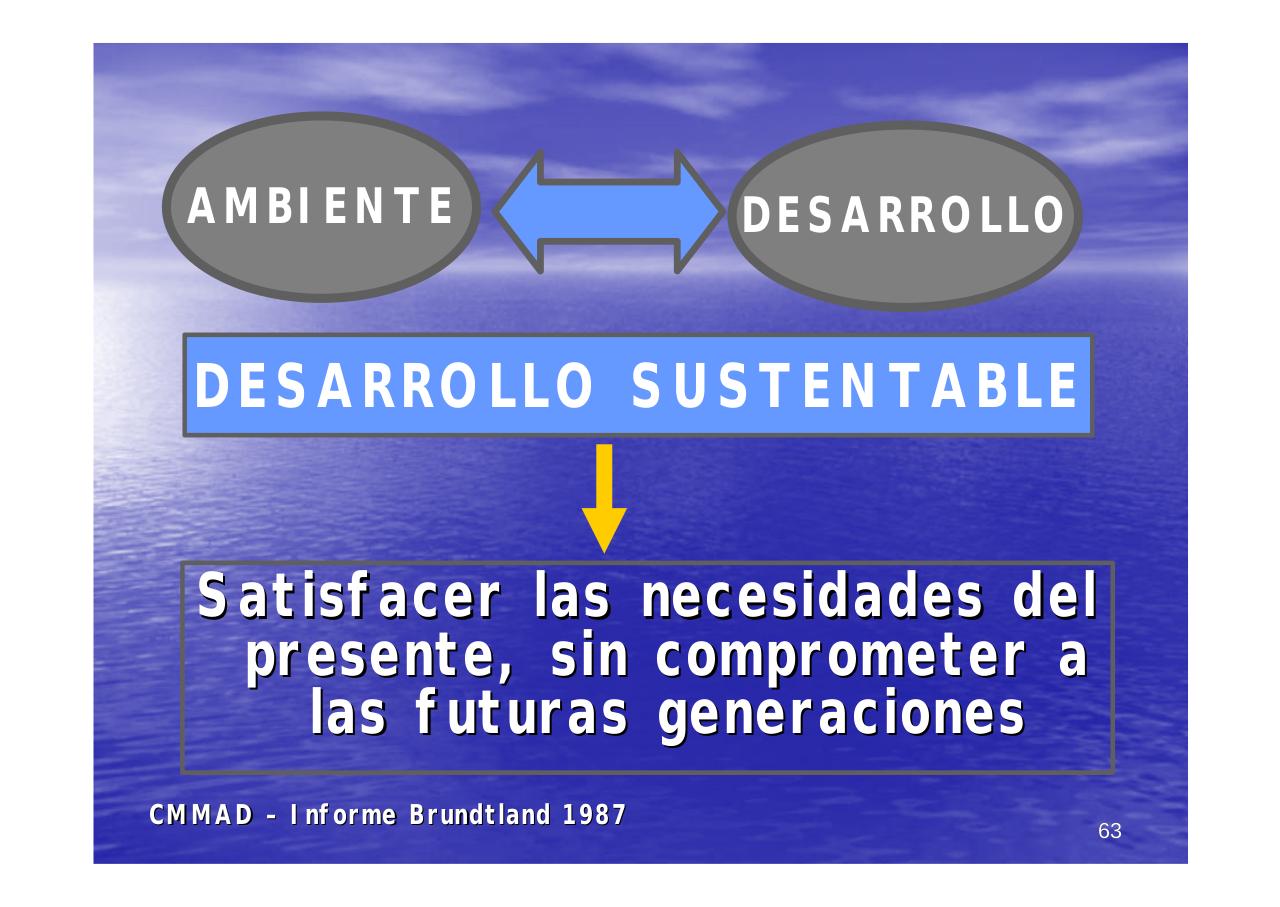 Vista previa del archivo PDF unpa-unidad-i-2014.pdf