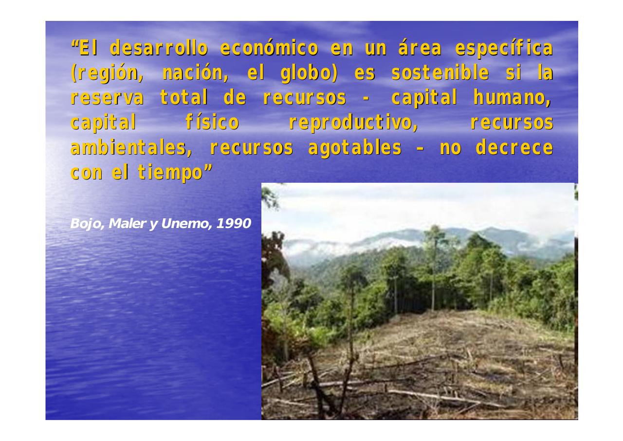 Vista previa del archivo PDF unpa-unidad-i-2014.pdf