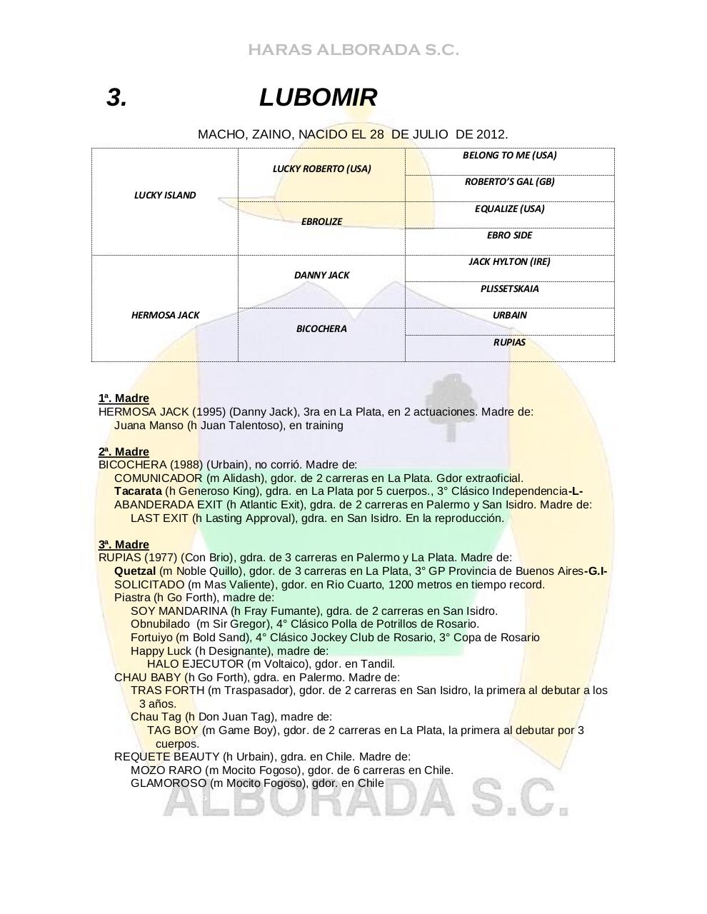 Vista previa del archivo PDF catalogo2014.pdf