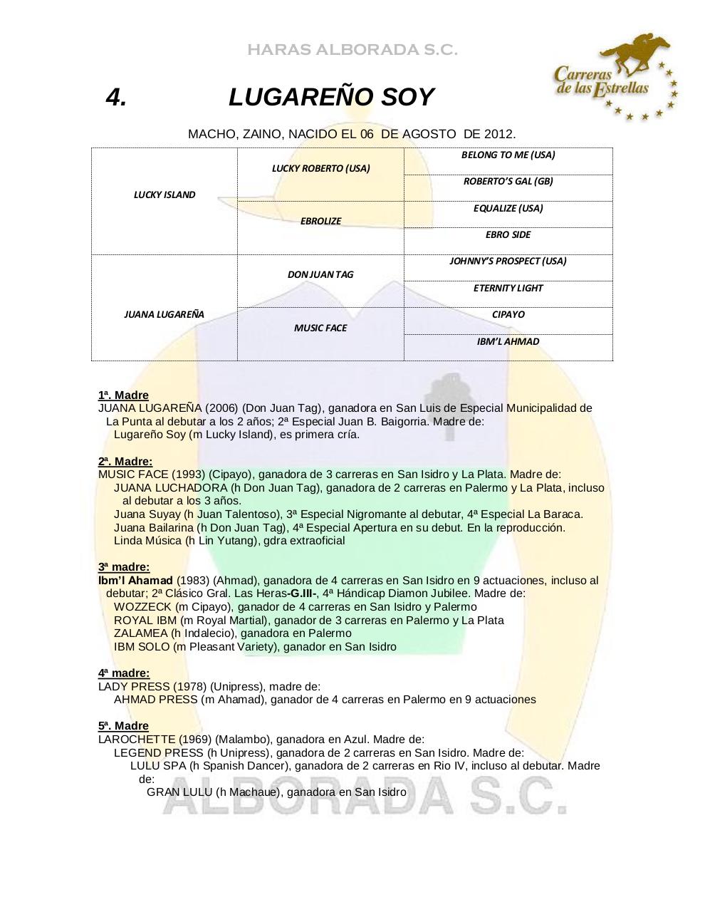 Vista previa del archivo PDF catalogo2014.pdf