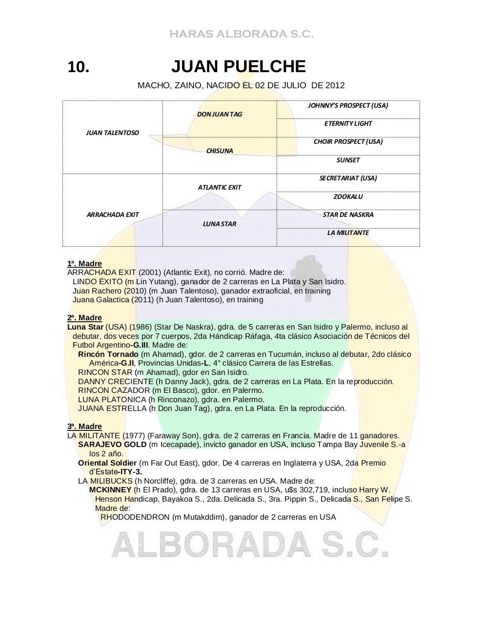 Vista previa del archivo PDF catalogo2014.pdf