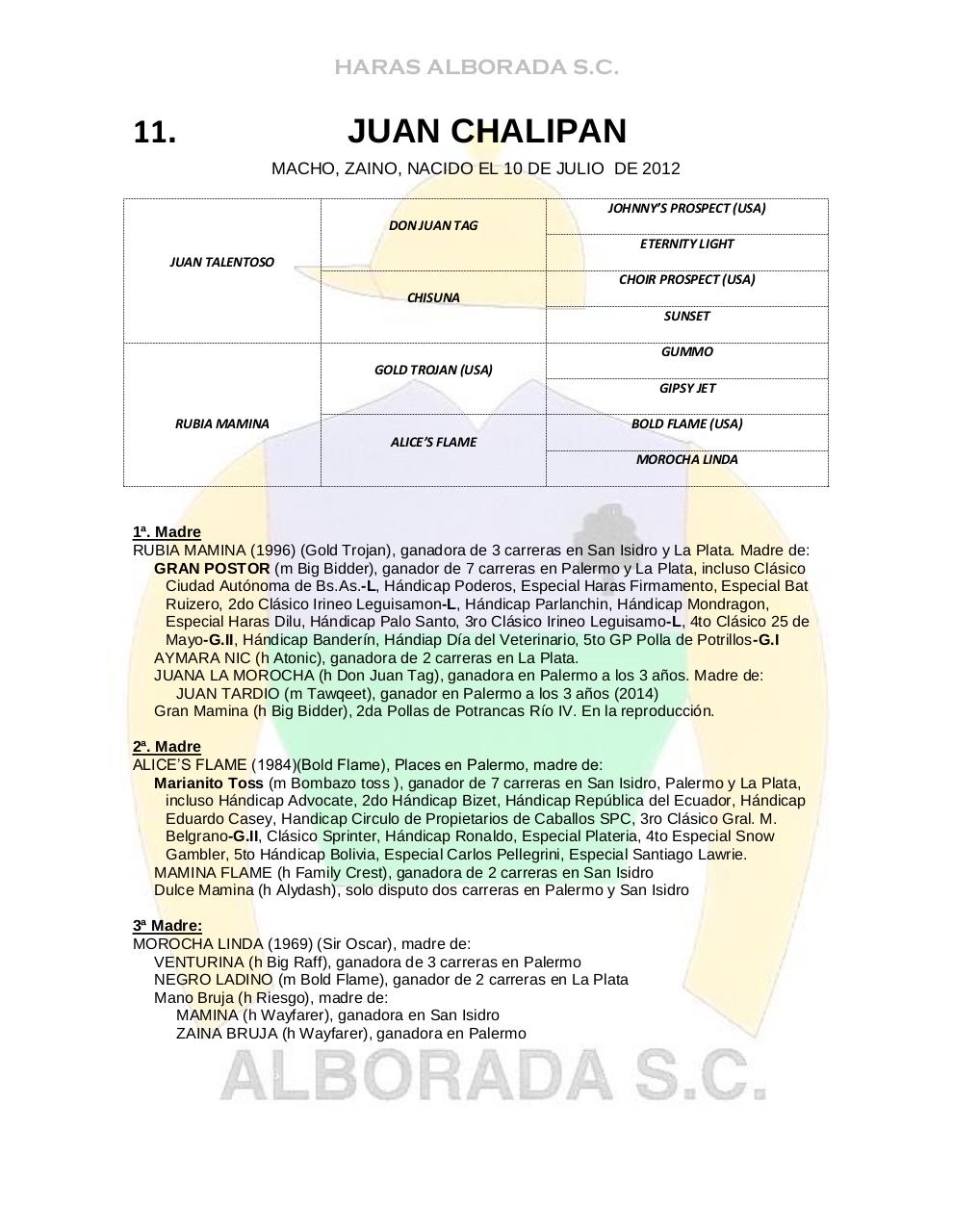 Vista previa del archivo PDF catalogo2014.pdf