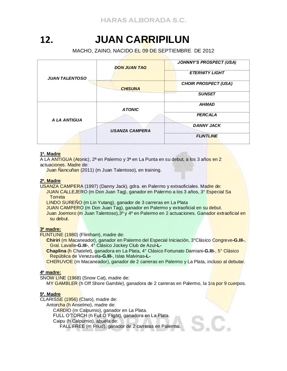 Vista previa del archivo PDF catalogo2014.pdf