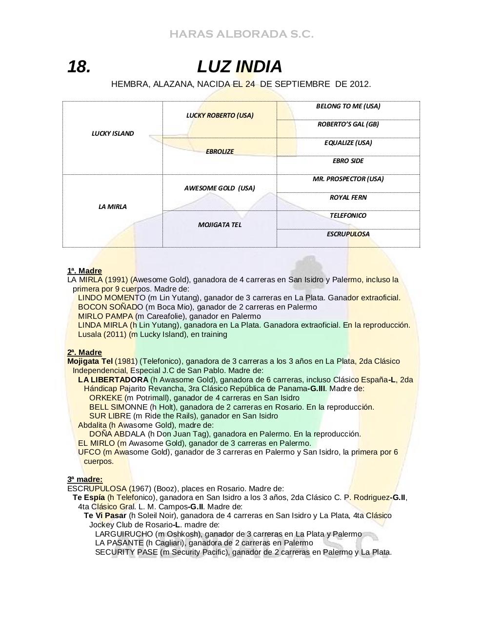 Vista previa del archivo PDF catalogo2014.pdf