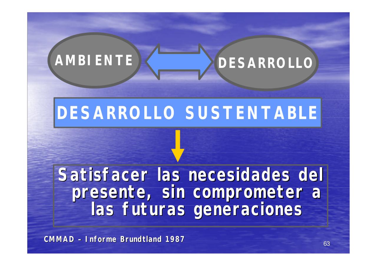 Vista previa del archivo PDF unpa-unidad-i-2014.pdf