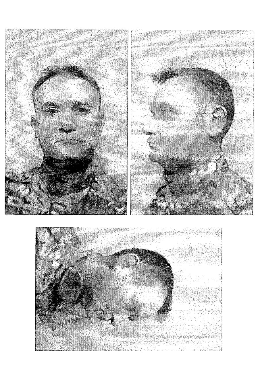 Vista previa del archivo PDF operacion-pizarro-top-secret.pdf