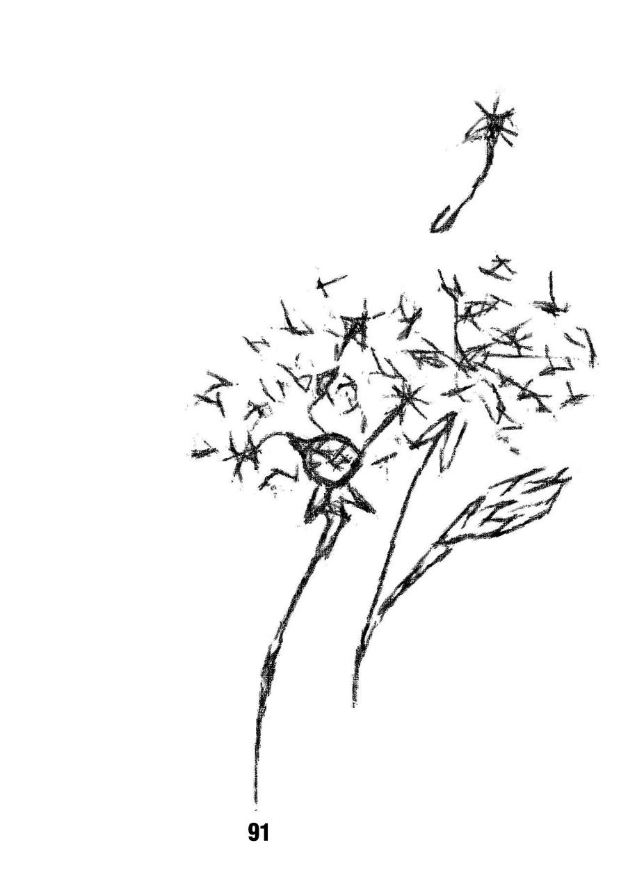 Vista previa del archivo PDF poemario-ef-mero.pdf