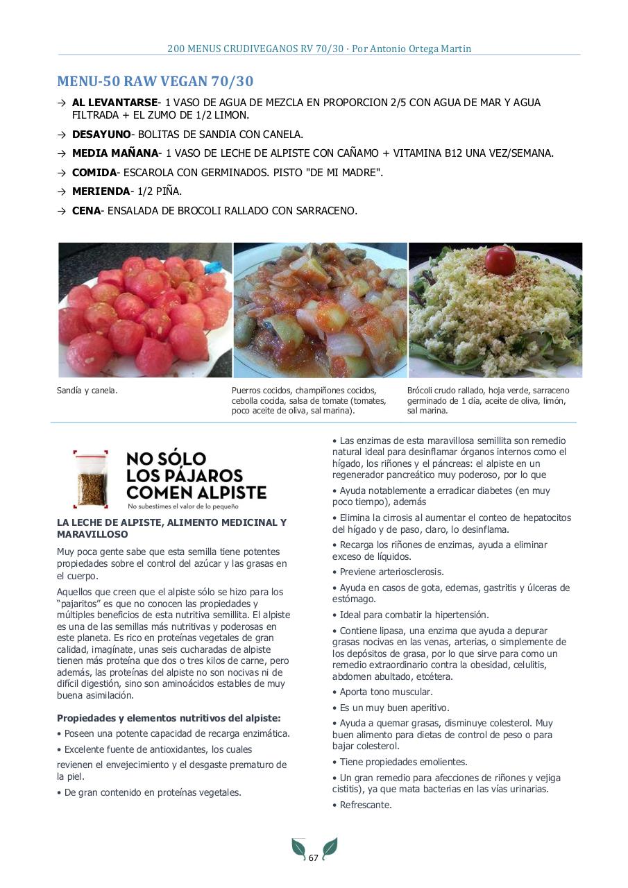 Vista previa del archivo PDF 200-menus-rv-70-30-antonio-ortega-martin.pdf