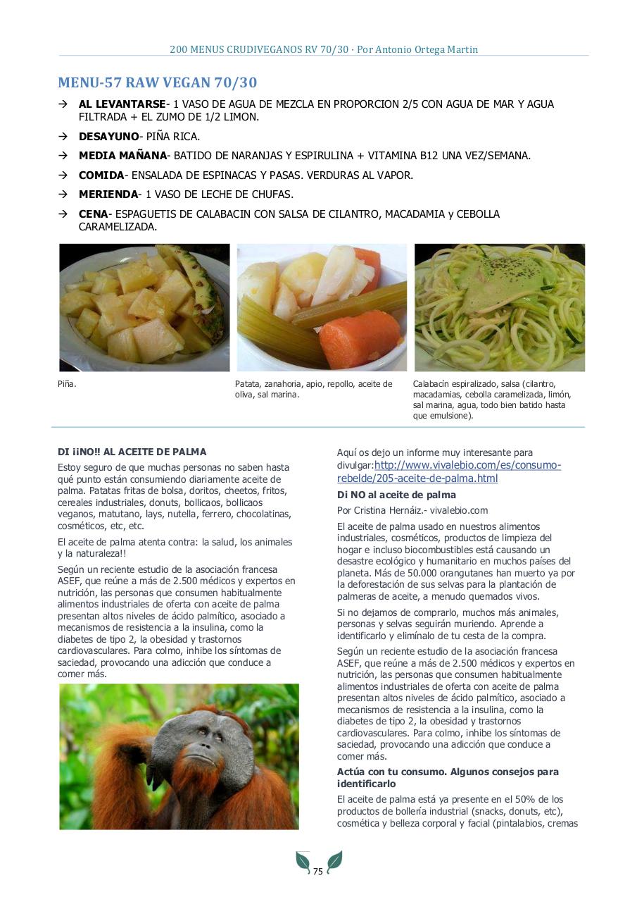 Vista previa del archivo PDF 200-menus-rv-70-30-antonio-ortega-martin.pdf
