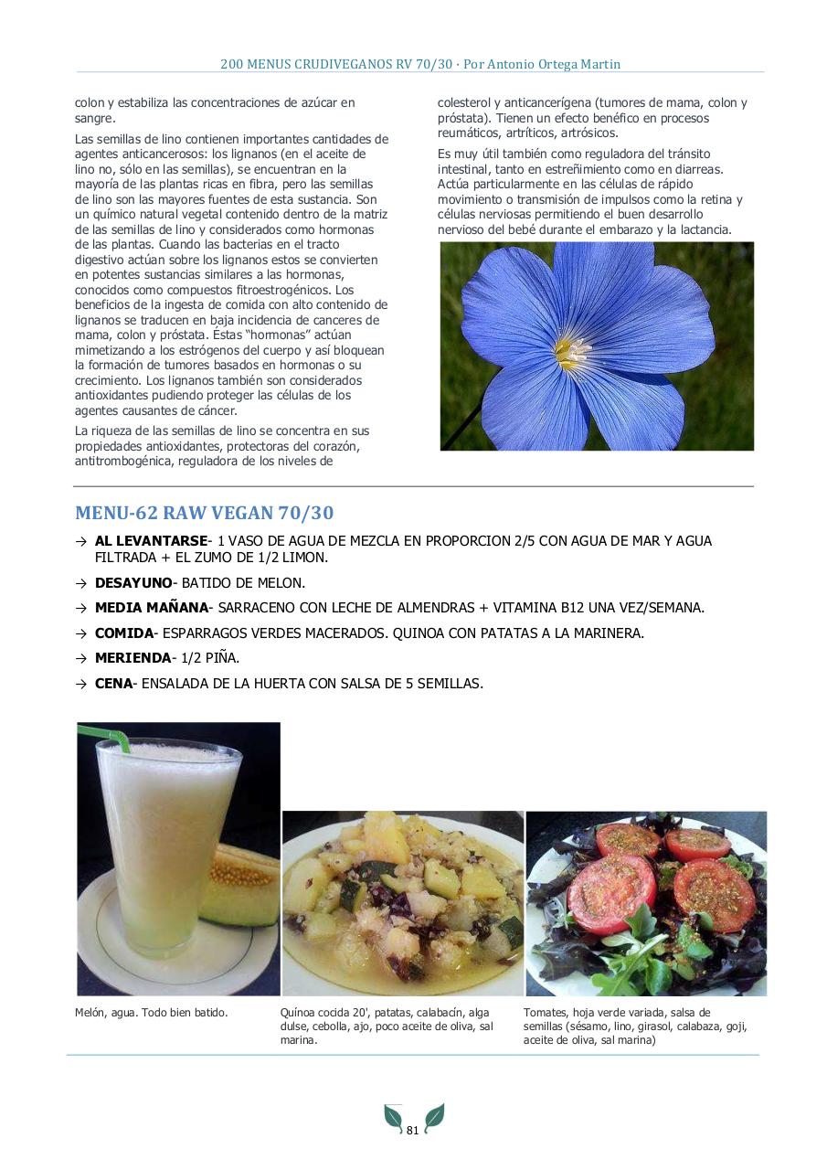 Vista previa del archivo PDF 200-menus-rv-70-30-antonio-ortega-martin.pdf