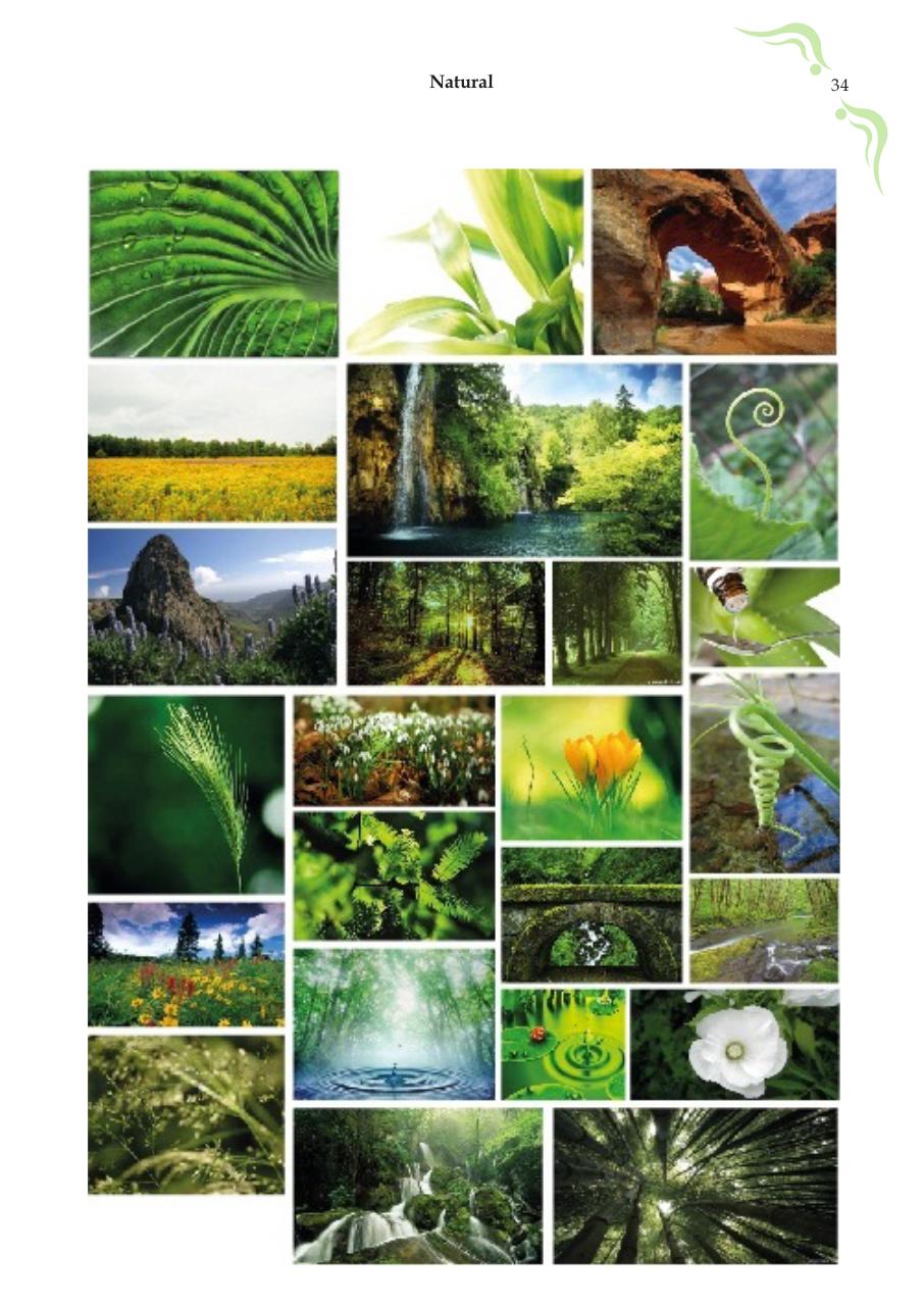 Vista previa del archivo PDF final-de-duke.pdf