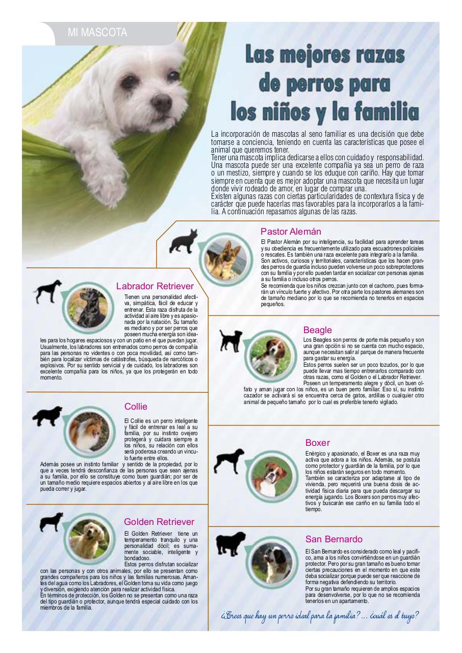 Vista previa del archivo PDF revista-numero-2-web.pdf