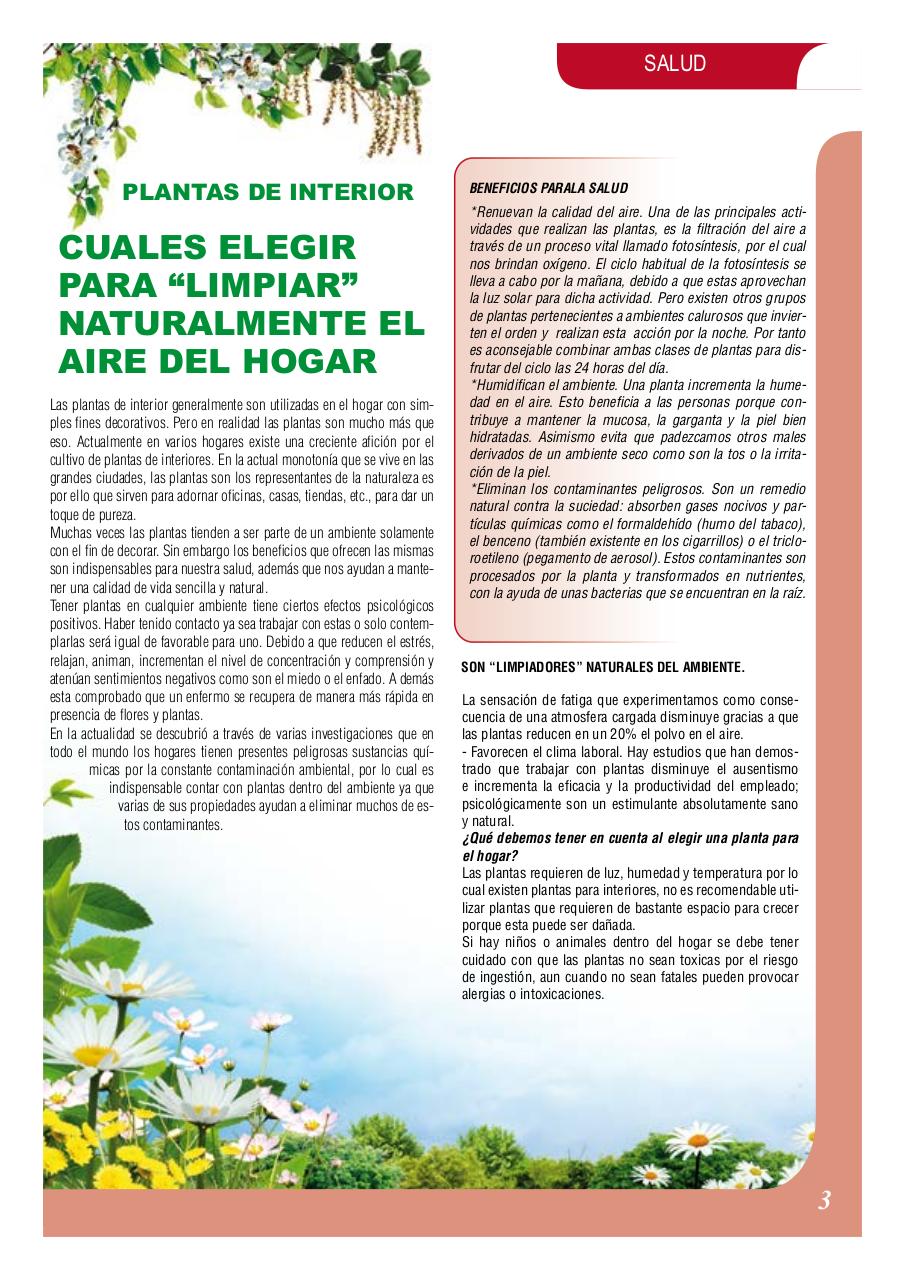 Vista previa del archivo PDF revista-numero-2-web.pdf