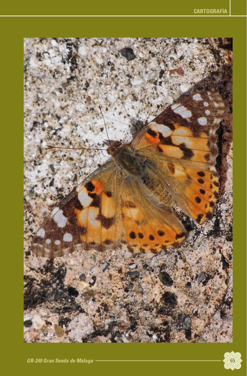 Vista previa del archivo PDF topoguia-edici-n-mayo-2014.pdf