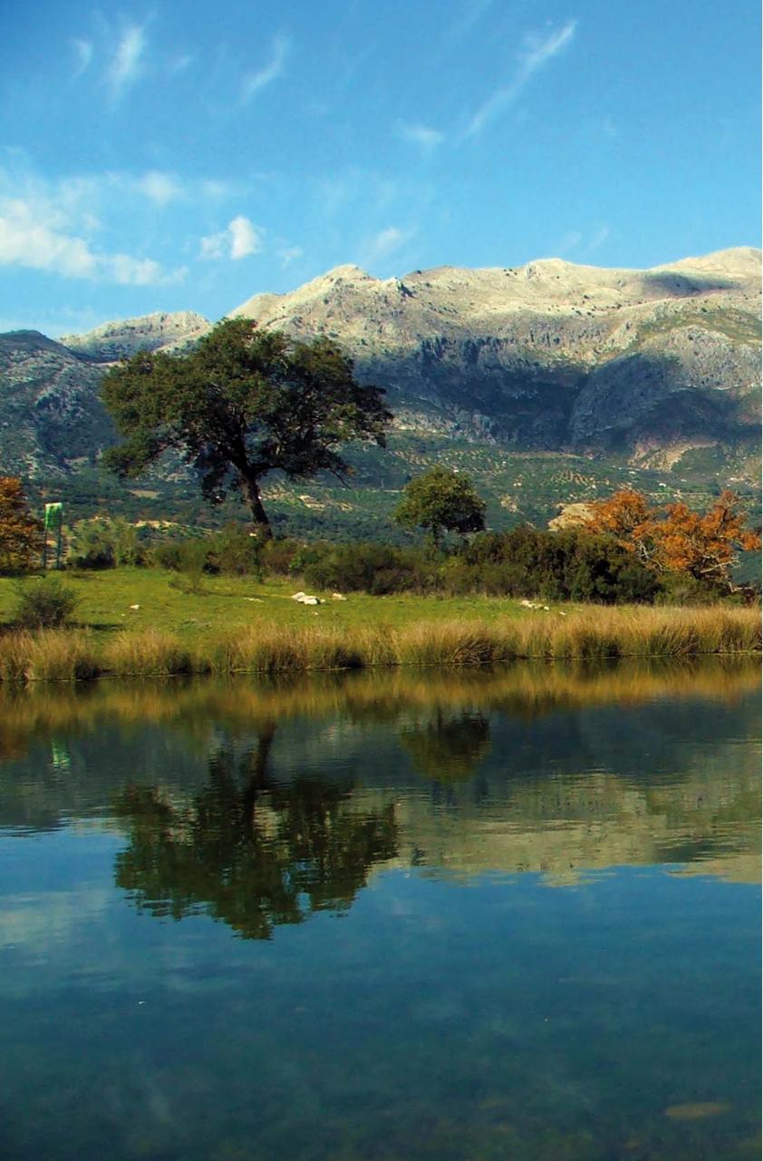 Vista previa del archivo PDF topoguia-edici-n-mayo-2014.pdf