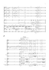 HaydnM7F.pdf - página 5/37