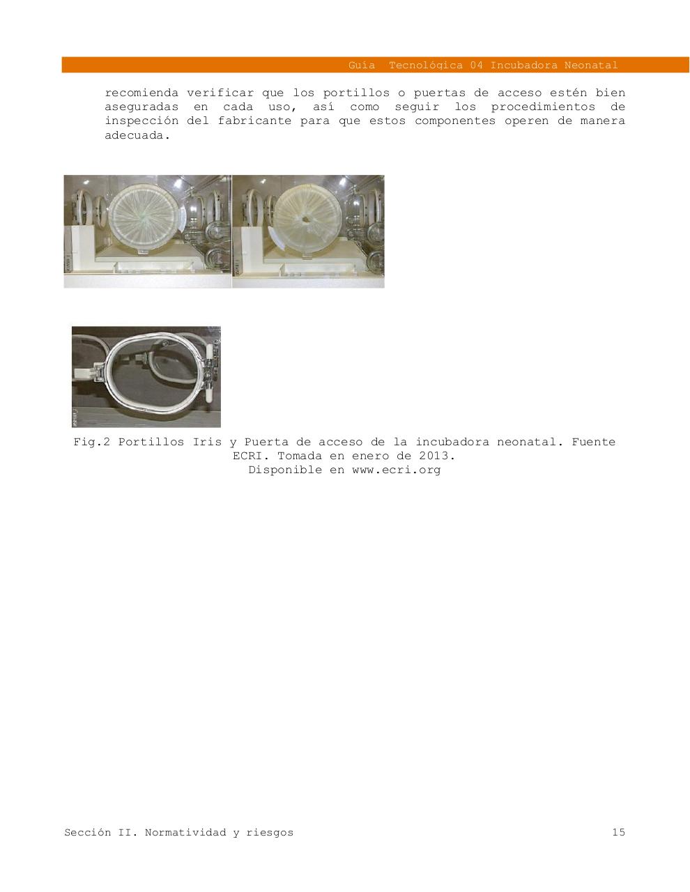 Vista previa del archivo PDF 4gt-incubadora.pdf