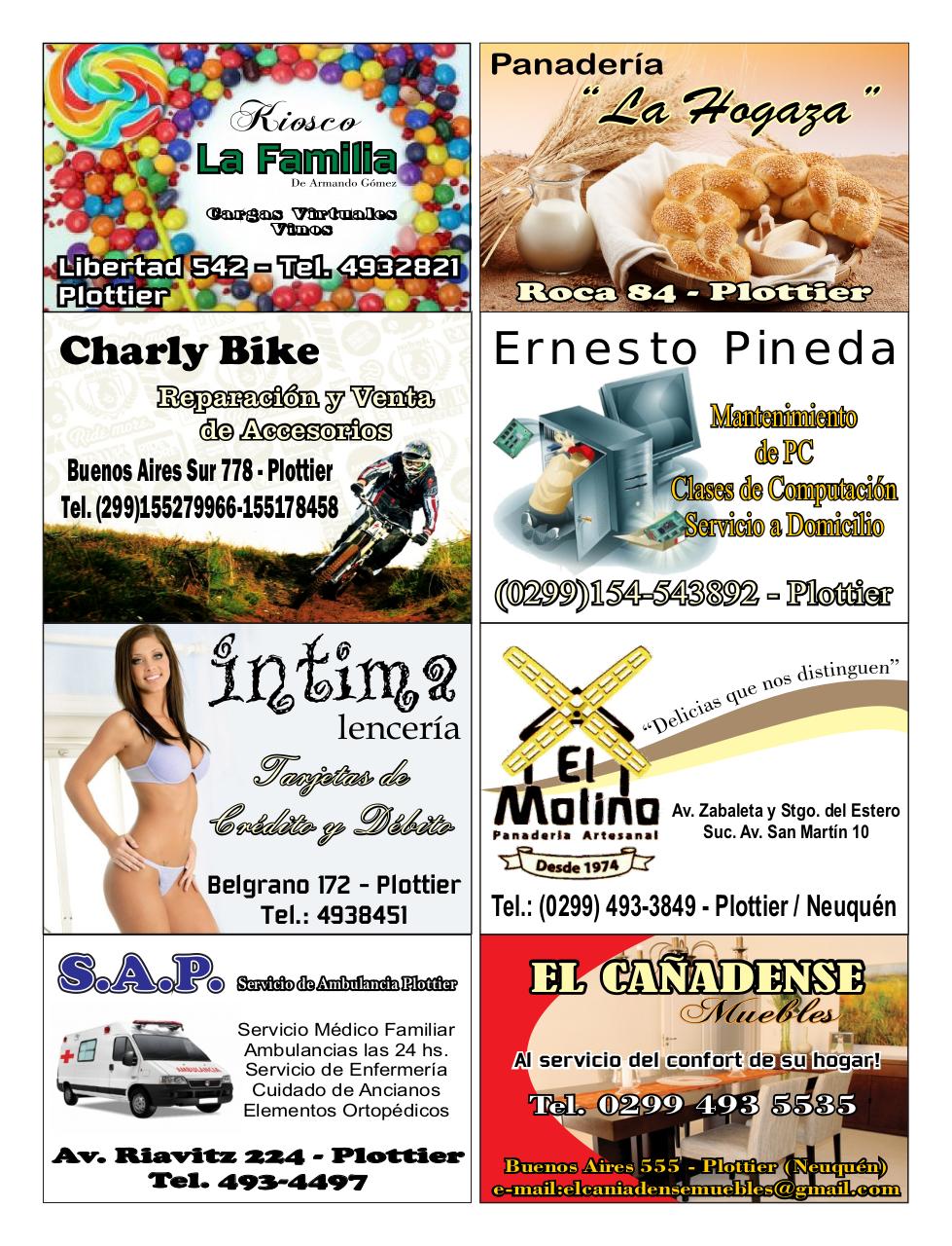 Vista previa del archivo PDF revista-alfonsina-julio-2014.pdf