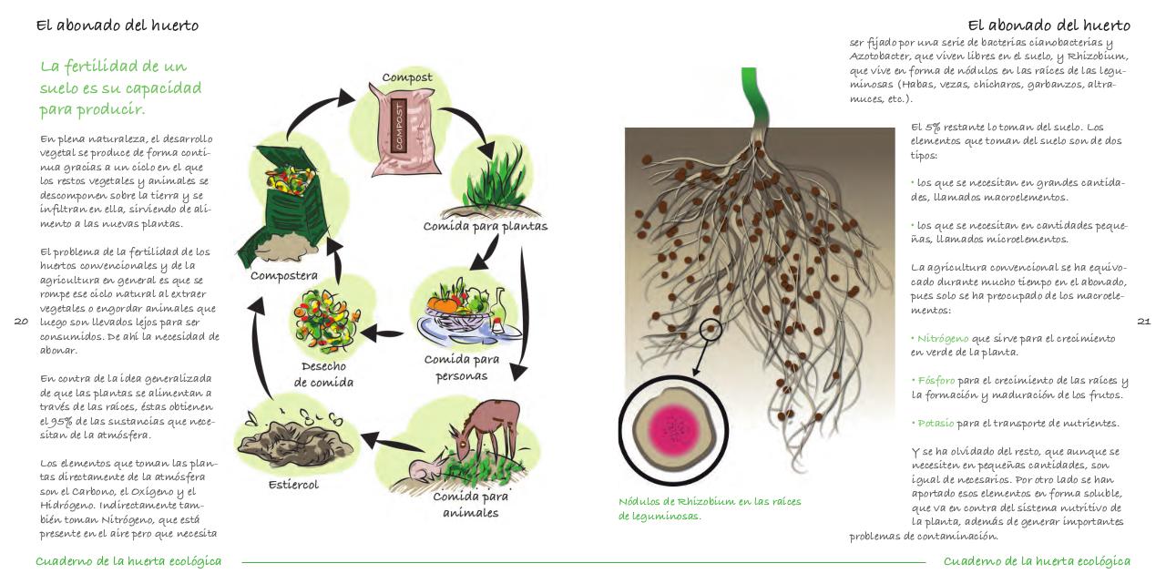 Vista previa del archivo PDF cuaderno-de-la-huerta-ecol-gica.pdf
