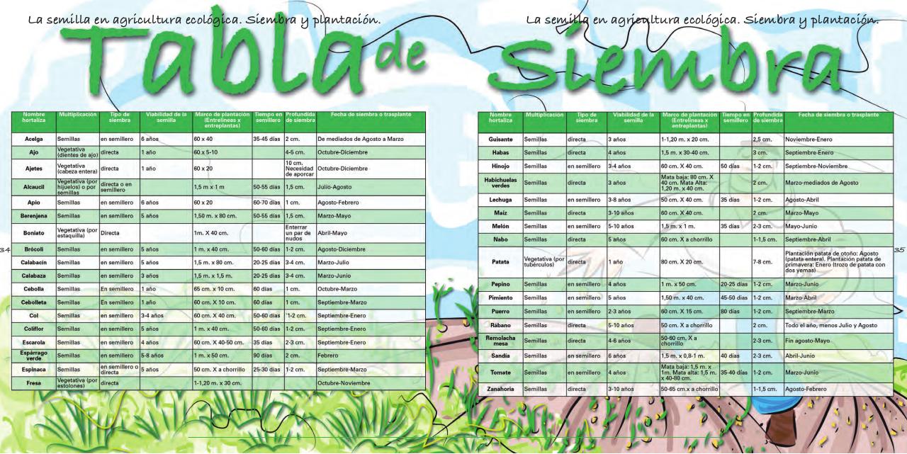 Vista previa del archivo PDF cuaderno-de-la-huerta-ecol-gica.pdf