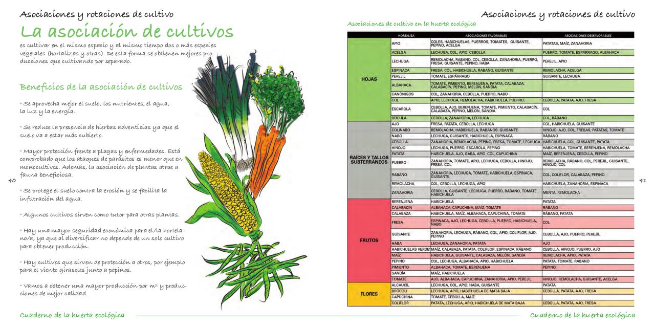 Vista previa del archivo PDF cuaderno-de-la-huerta-ecol-gica.pdf