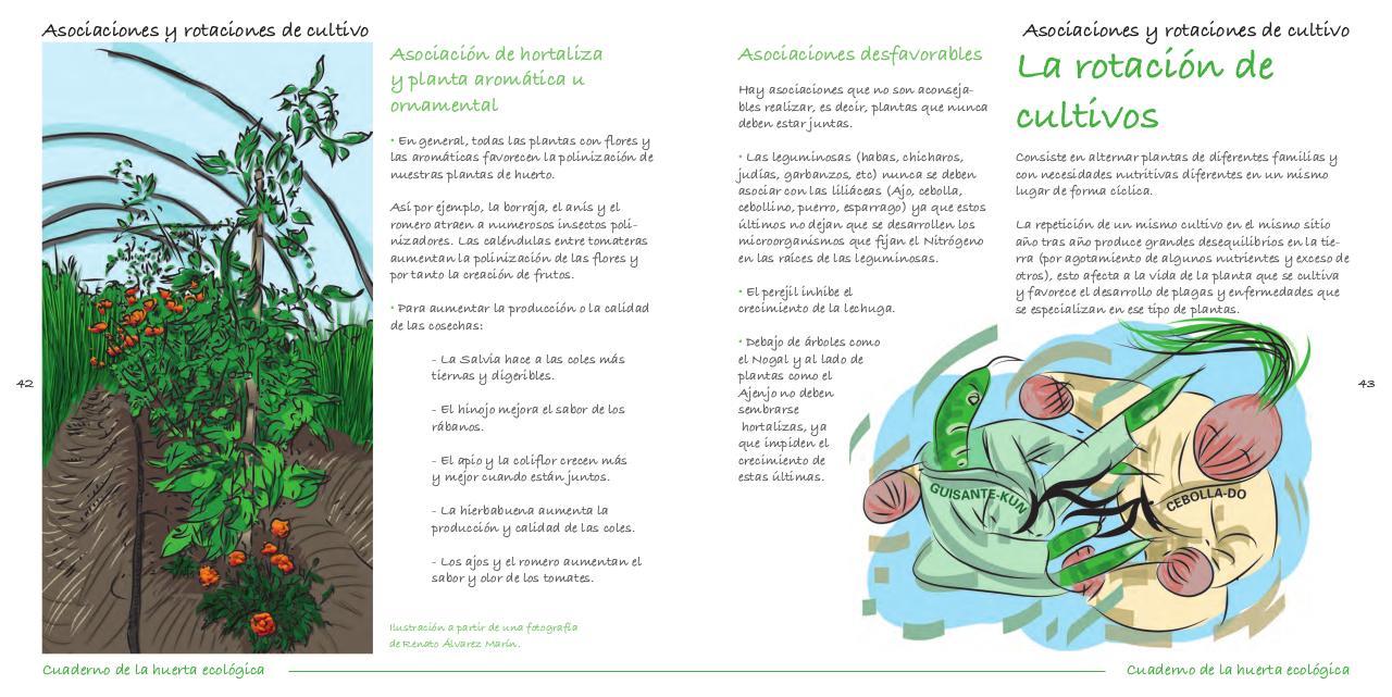 Vista previa del archivo PDF cuaderno-de-la-huerta-ecol-gica.pdf