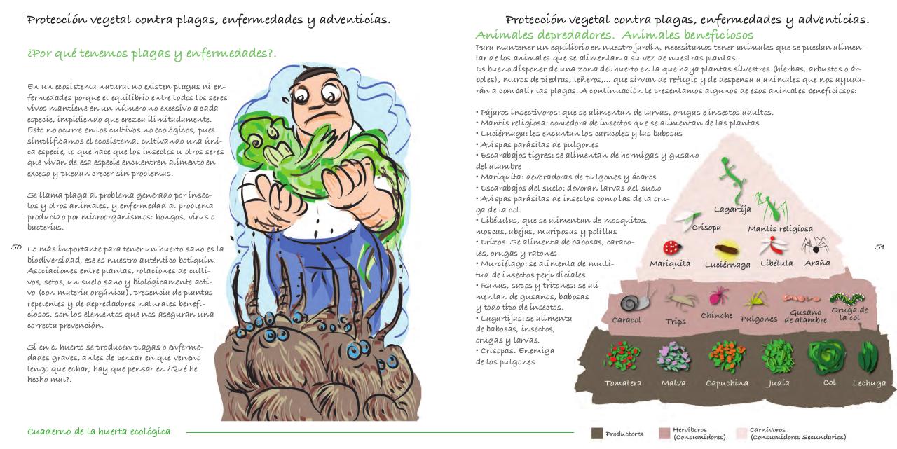 Vista previa del archivo PDF cuaderno-de-la-huerta-ecol-gica.pdf