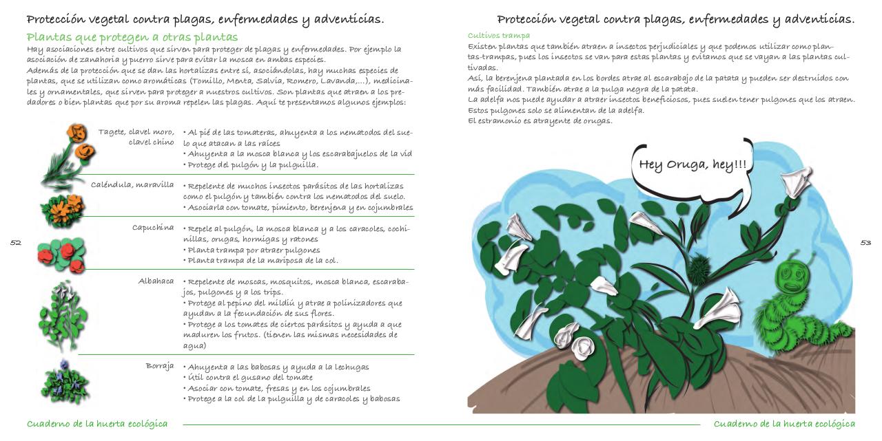 Vista previa del archivo PDF cuaderno-de-la-huerta-ecol-gica.pdf