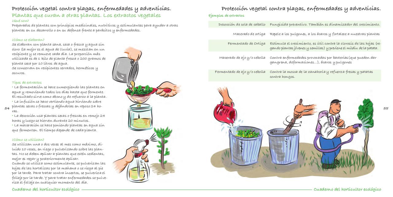 Vista previa del archivo PDF cuaderno-de-la-huerta-ecol-gica.pdf