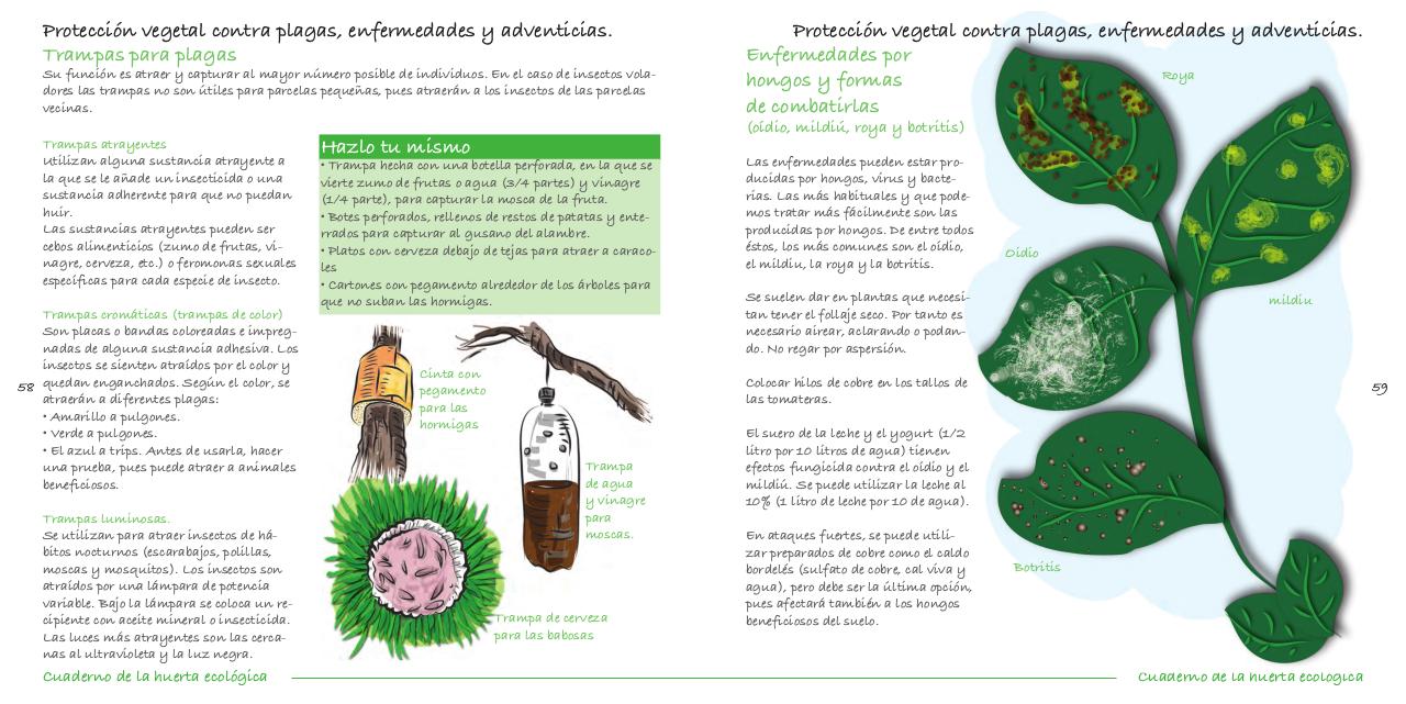 Vista previa del archivo PDF cuaderno-de-la-huerta-ecol-gica.pdf