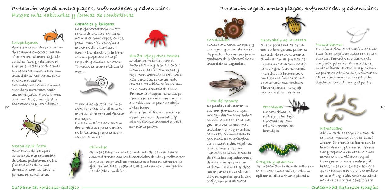 Vista previa del archivo PDF cuaderno-de-la-huerta-ecol-gica.pdf