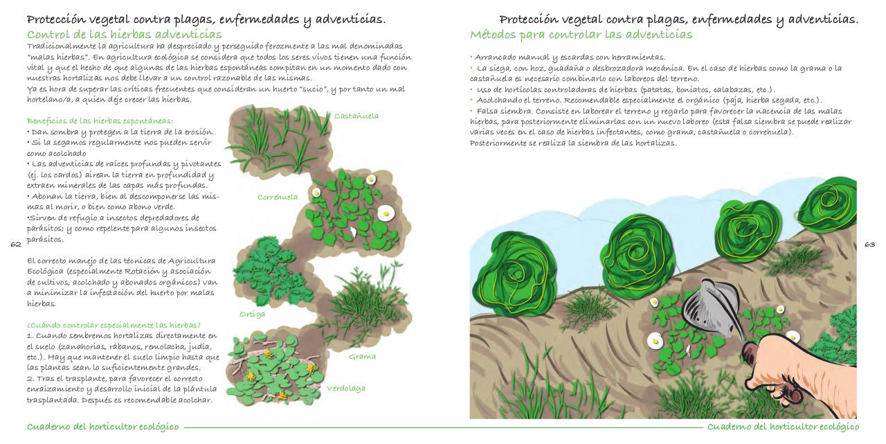 Vista previa del archivo PDF cuaderno-de-la-huerta-ecol-gica.pdf