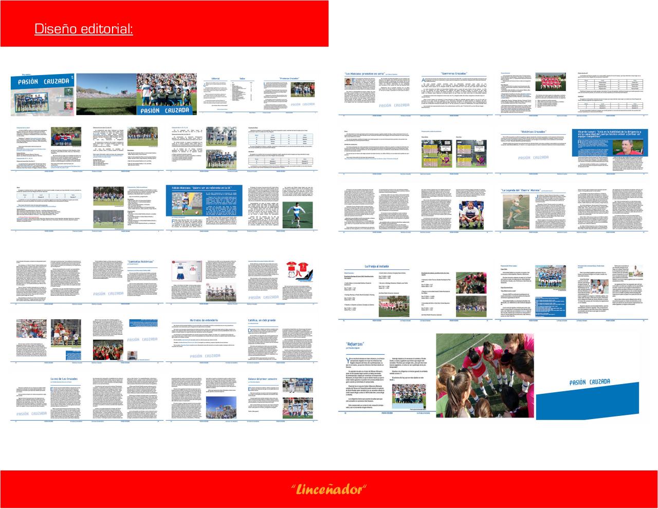 Vista previa del archivo PDF disgra.pdf