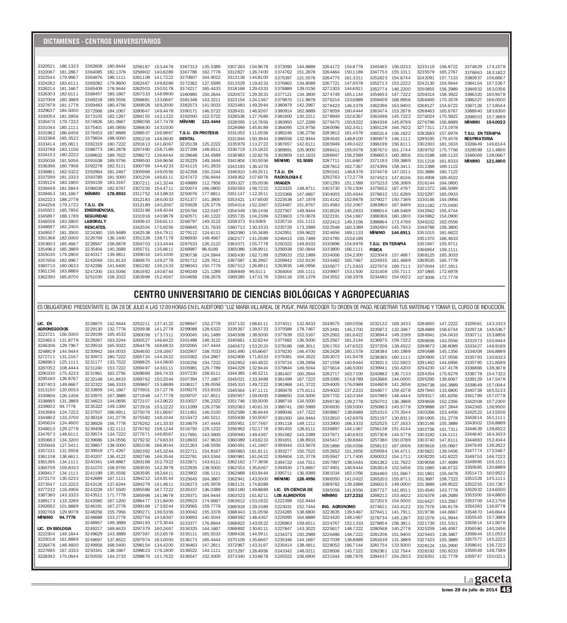 Vista previa del archivo PDF dictamen-2014b.pdf