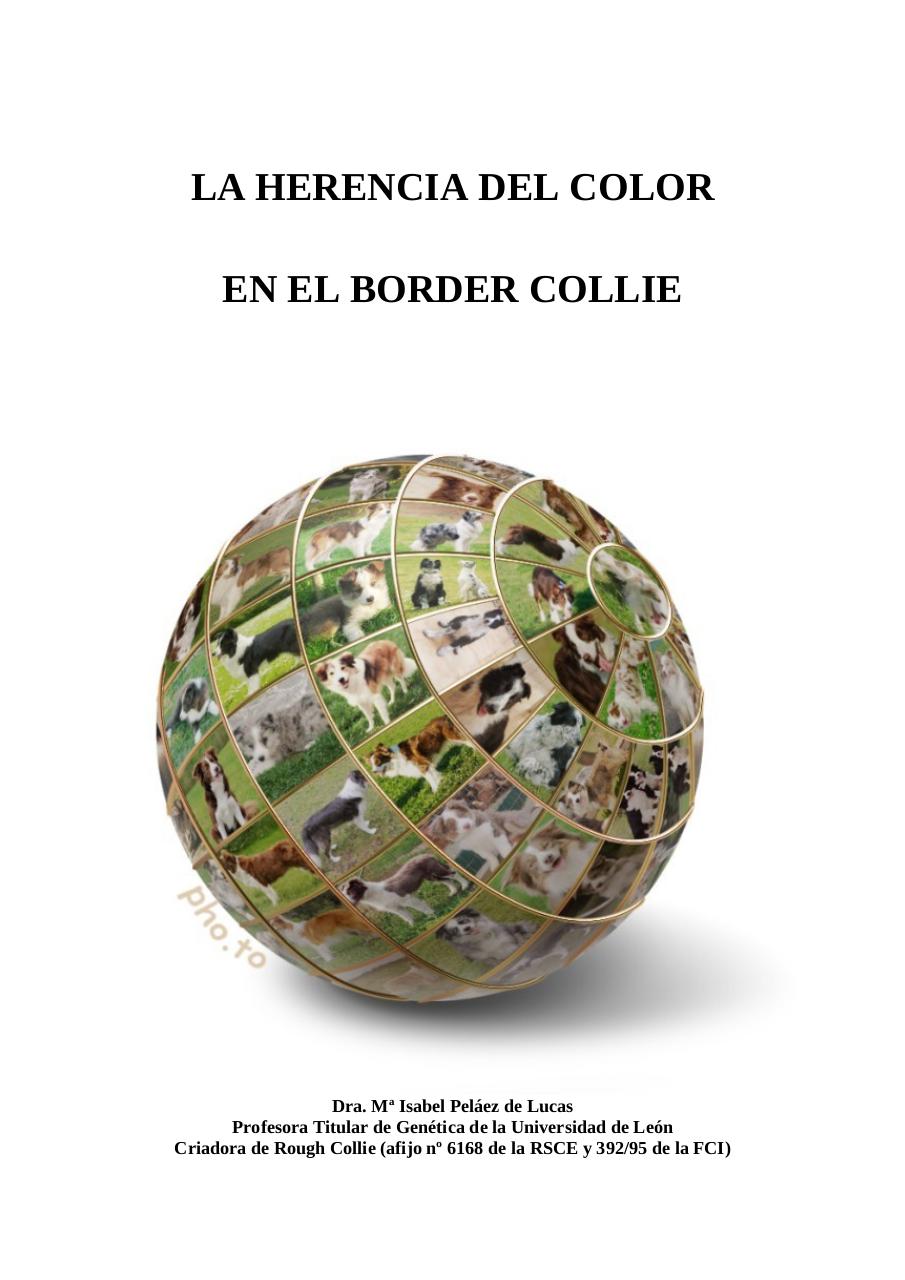 Herencia del color en el border collie para Legado.pdf - página 1/7