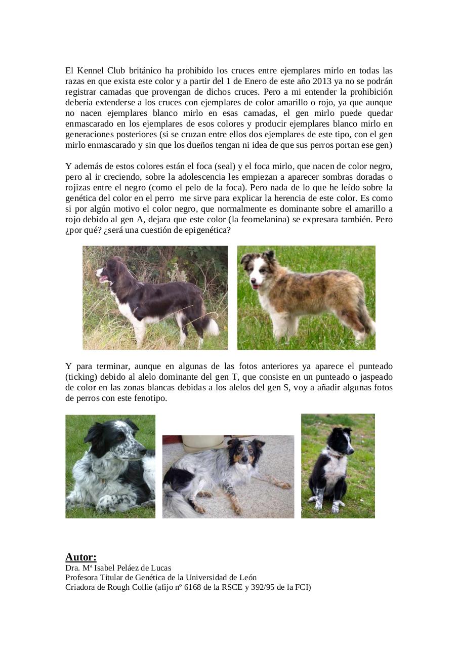 Vista previa del archivo PDF herencia-del-color-en-el-border-collie-para-legado.pdf