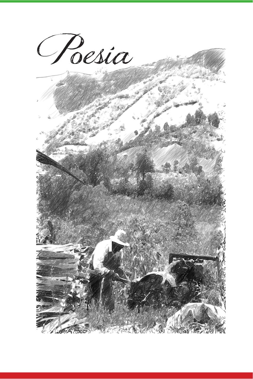 Vista previa del archivo PDF revista-kaminu-limay-iii.pdf