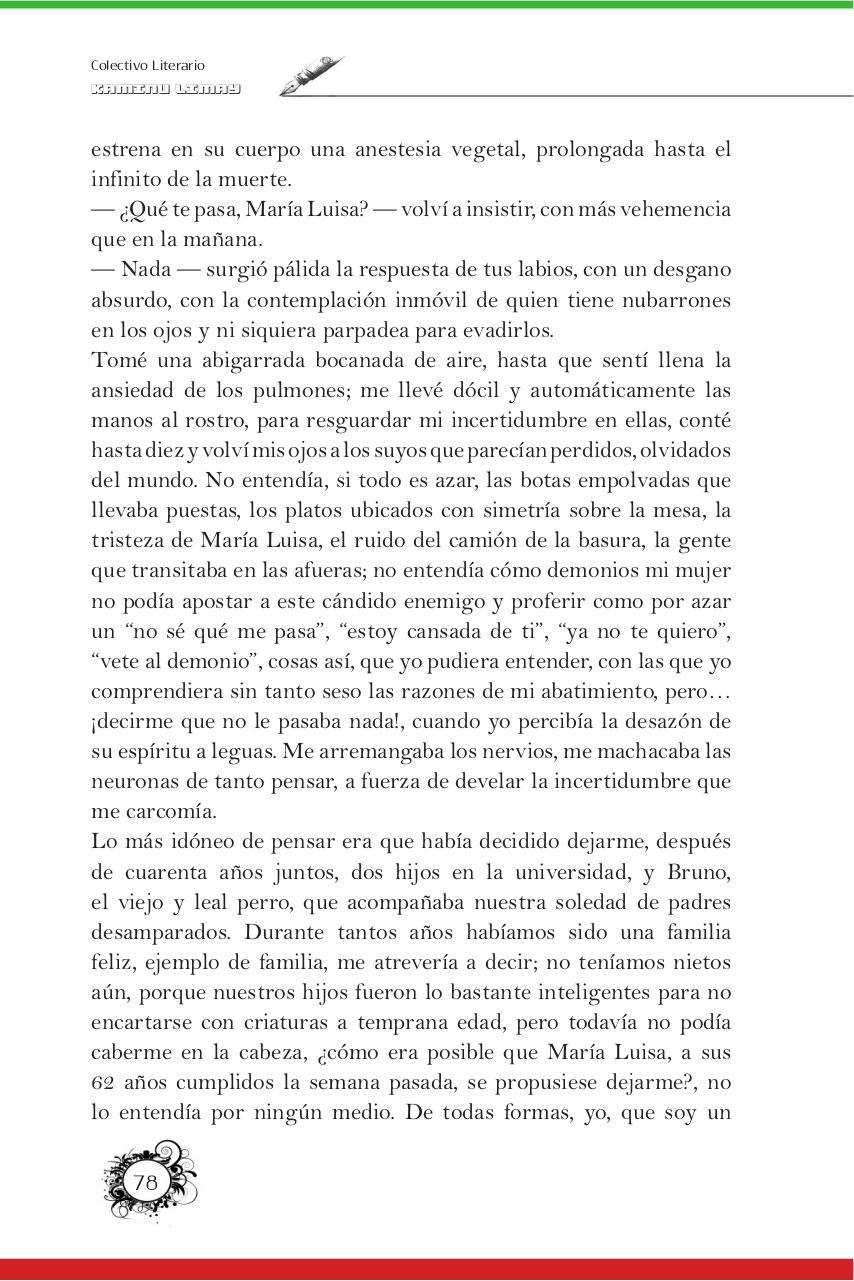 Vista previa del archivo PDF revista-kaminu-limay-iii.pdf