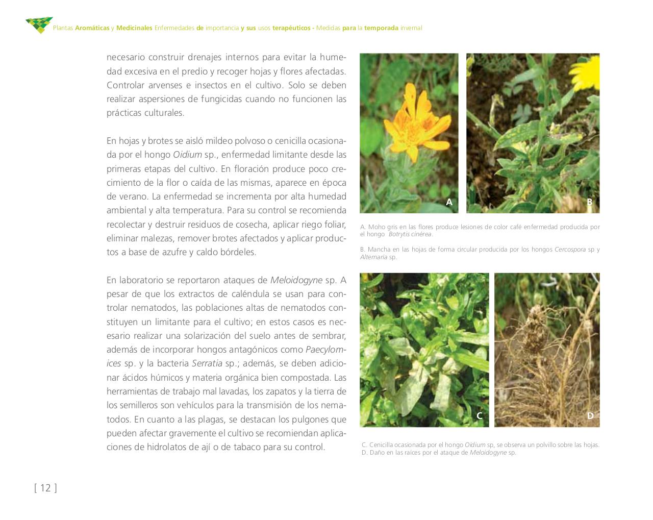 Vista previa del archivo PDF cartilla-aromatica-ica-baja-jun-6.pdf