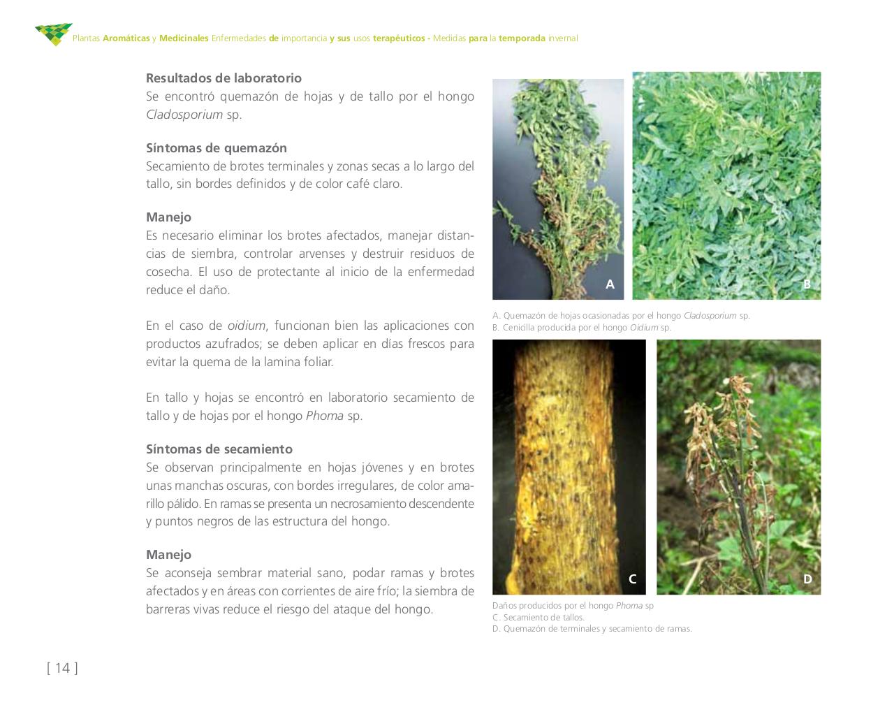 Vista previa del archivo PDF cartilla-aromatica-ica-baja-jun-6.pdf