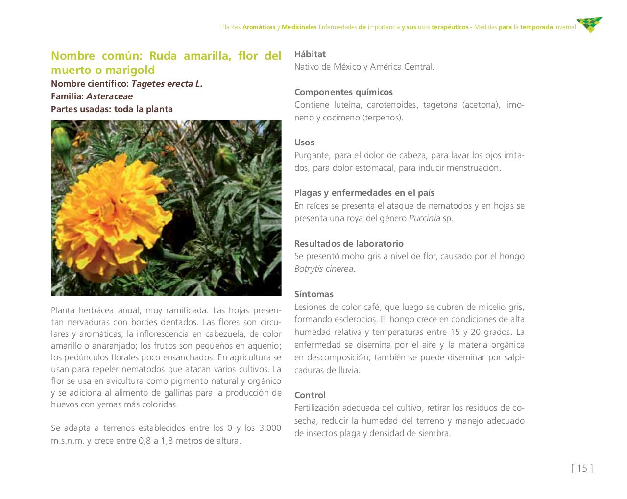 Vista previa del archivo PDF cartilla-aromatica-ica-baja-jun-6.pdf