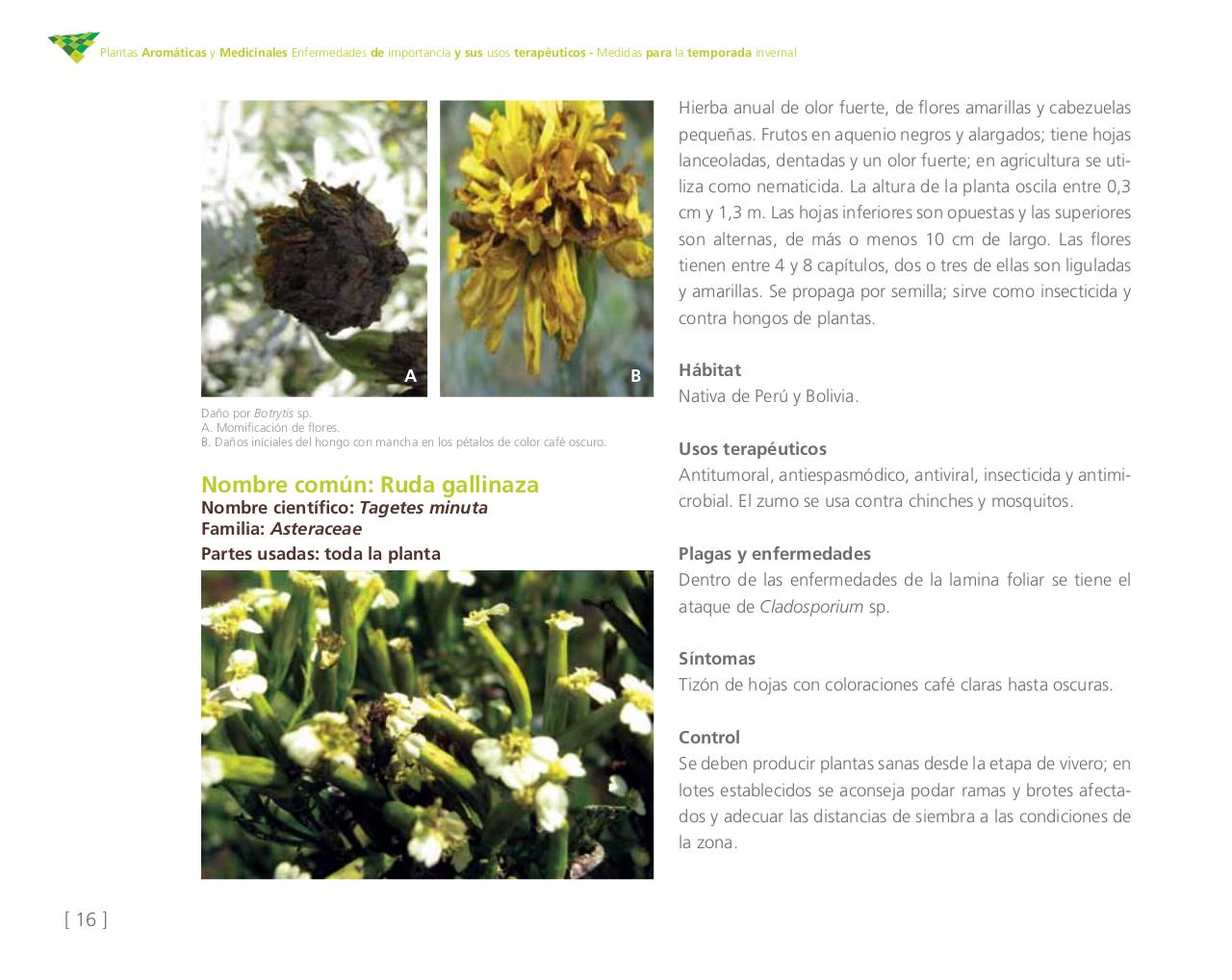 Vista previa del archivo PDF cartilla-aromatica-ica-baja-jun-6.pdf