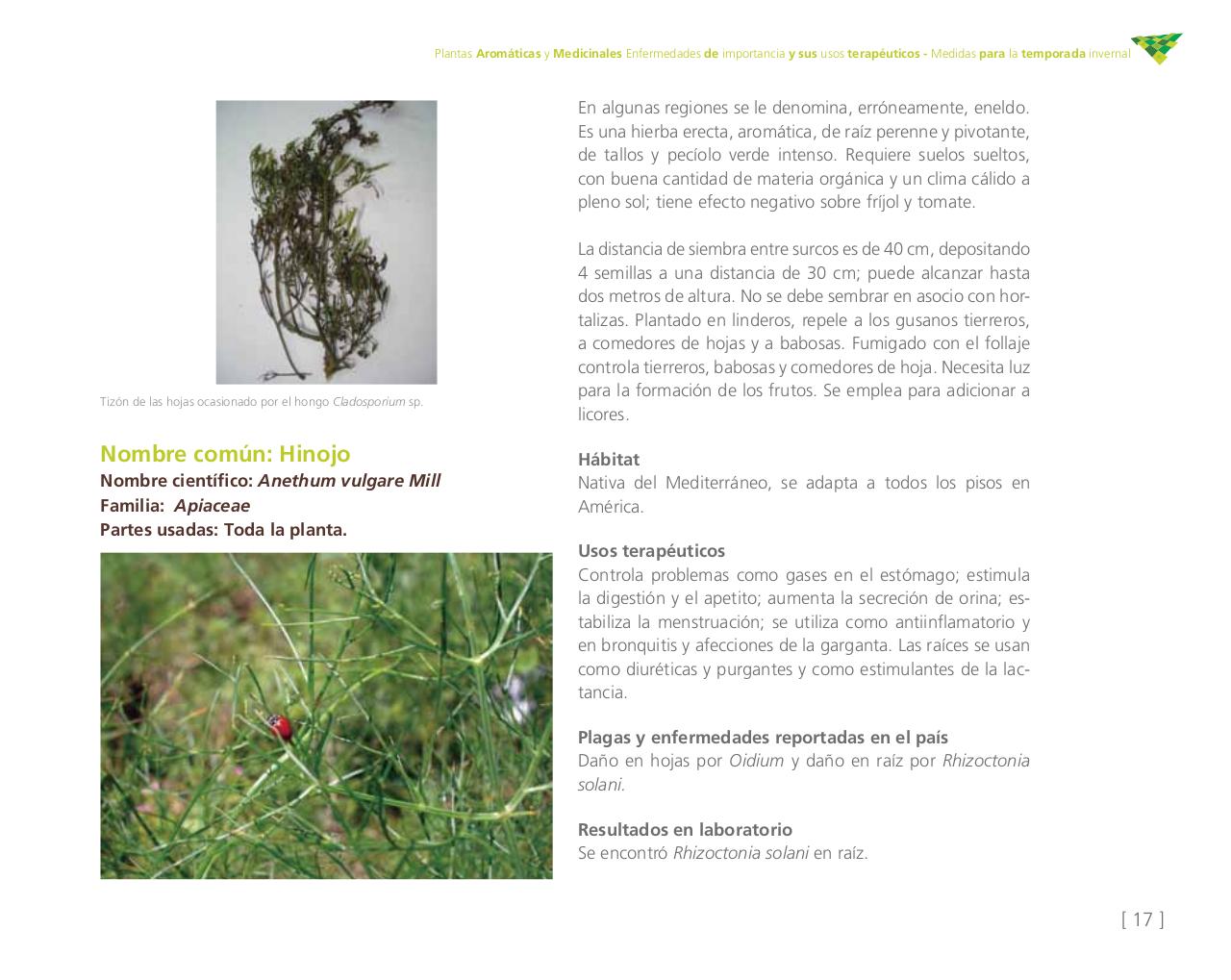 Vista previa del archivo PDF cartilla-aromatica-ica-baja-jun-6.pdf