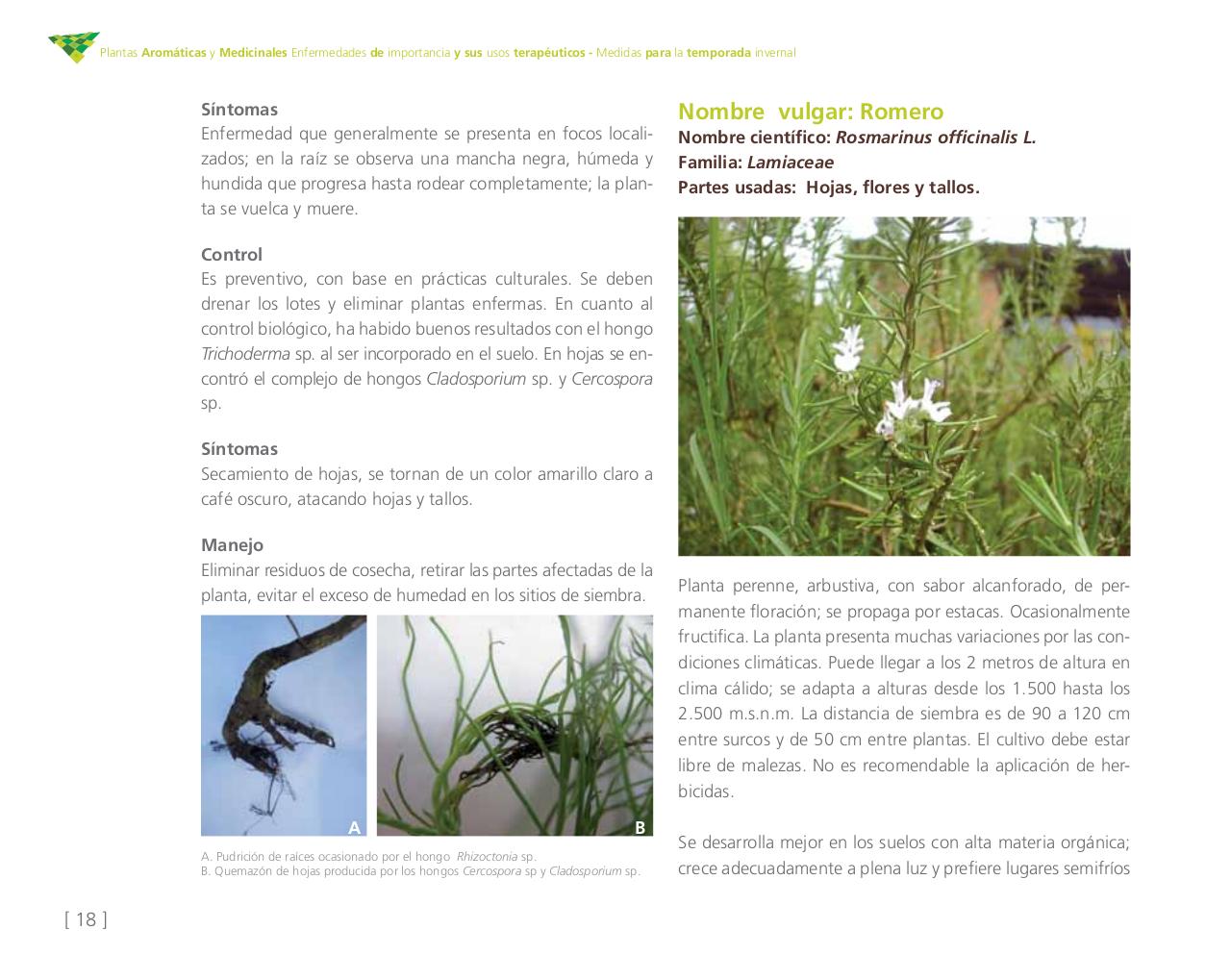 Vista previa del archivo PDF cartilla-aromatica-ica-baja-jun-6.pdf